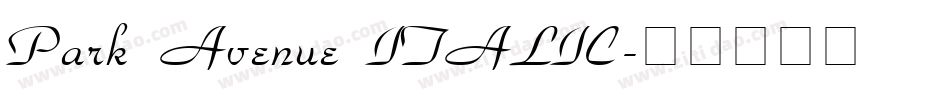 Park Avenue ITALIC字体转换